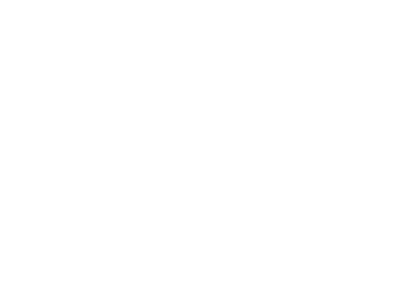 ASSYPERMOTORS